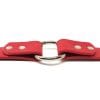 K-9 Komfort 1 Inch TufFlex Red Center Ring Collar