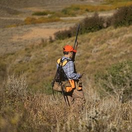Gun Dog Supplies