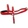 Padded Beta Roading Harness