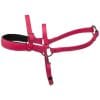 Padded Beta Roading Harness