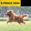 Dogtra Model E-Fence 3500 Dog
