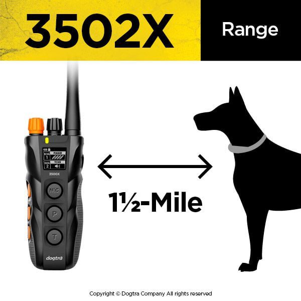 Dogtra 3502X