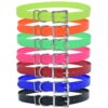 3/4" Universal Replacement Strap, Roller Double Buckle, D Loop
