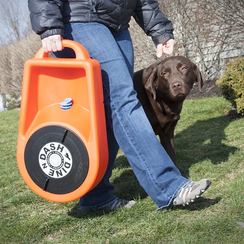 Waterers and Feeders