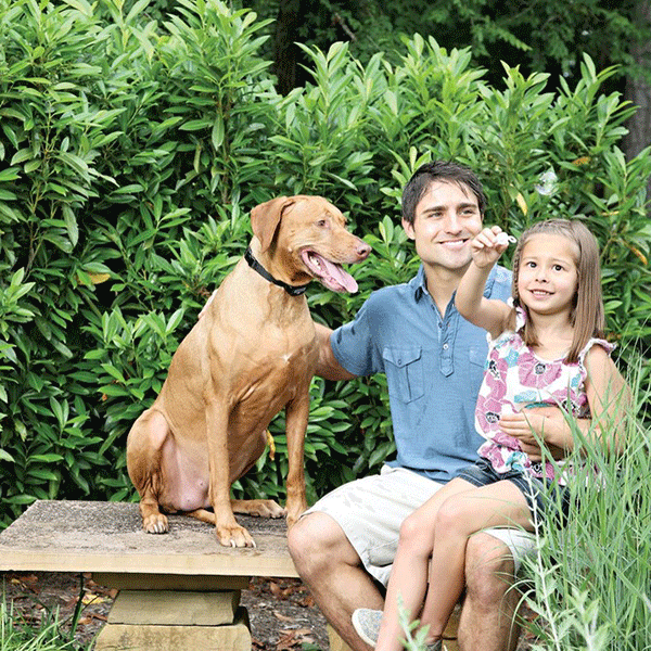 PetSafe In Ground Fence