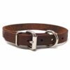 3/4 Inch Leather D-End Collar