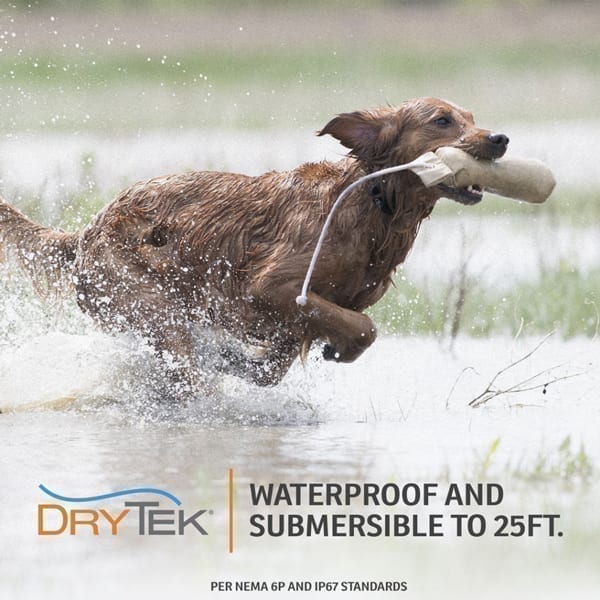 SportDog In-Ground Fence System SDF-100C