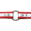 1 Inch Beta Reflective Collar RIC Red