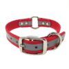 1 Inch Beta Reflective Collar RIC Red