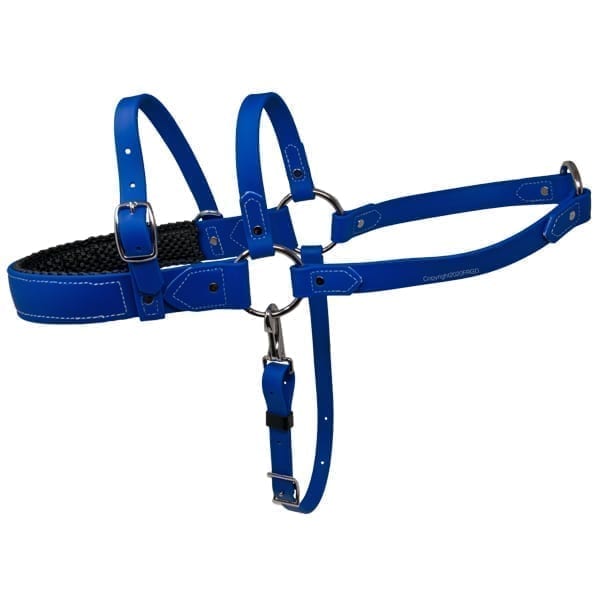 Padded Beta Roading Harness