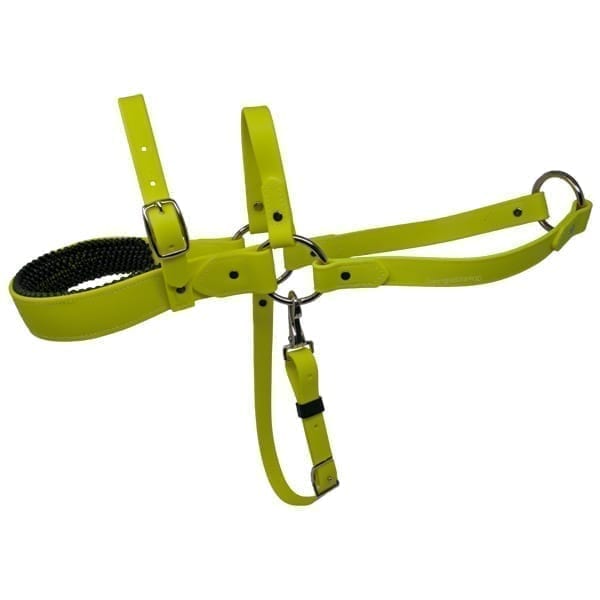 Padded Beta Roading Harness