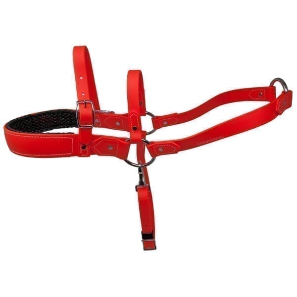 Padded Beta Roading Harness