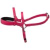 Padded Beta Roading Harness