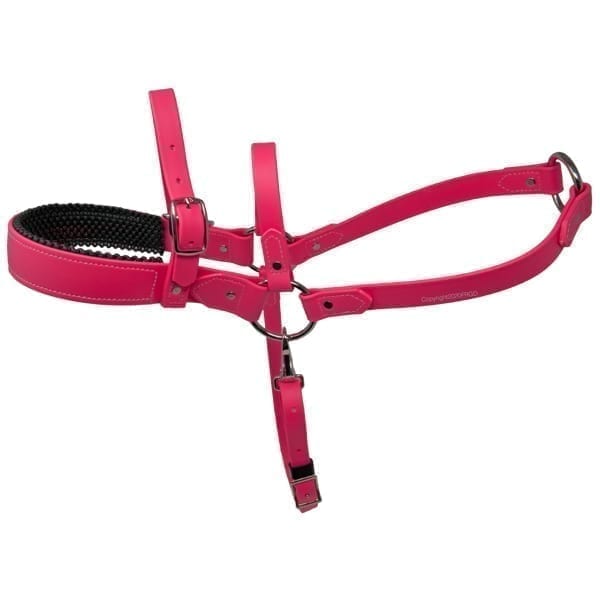 Padded Beta Roading Harness