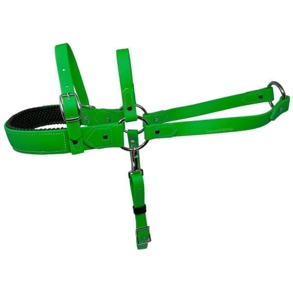 Padded Beta Roading Harness