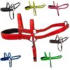 Padded Beta Roading Harness