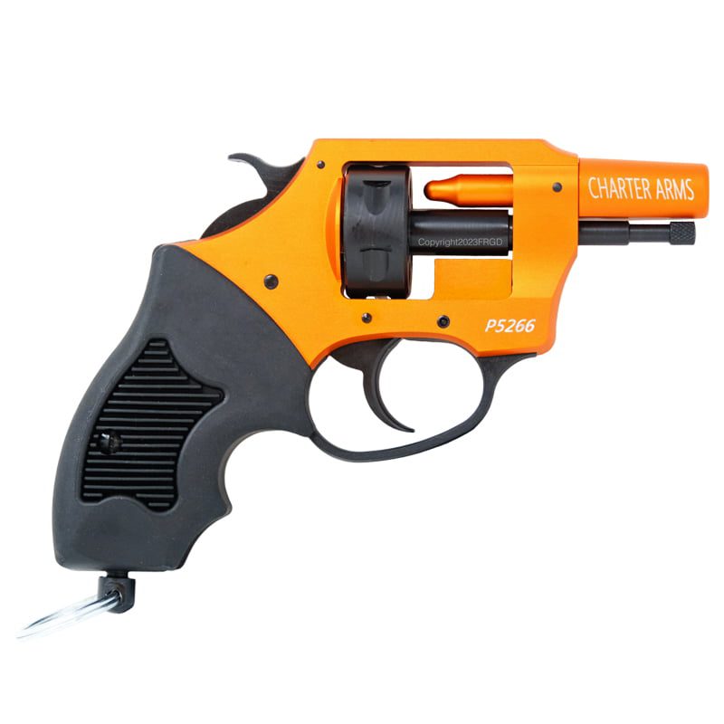 Charter Arms Pro 22 Double Action Primer Pistol