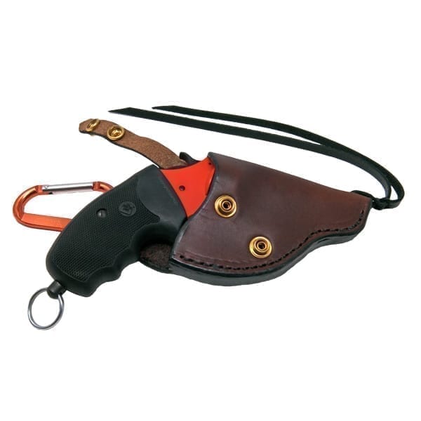 Charter Arms Pro Holster