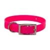 Day Glow Puppy Collar