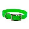 Puppy Collar