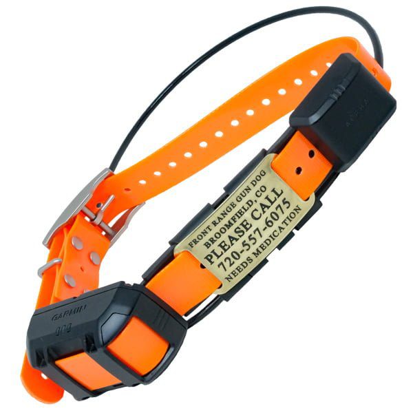 Garmin PRO 550 Plus TT 25 Bundle - Front Range Gun Dog
