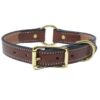 1 Inch Chestnut Premium Leather Center Ring Collar
