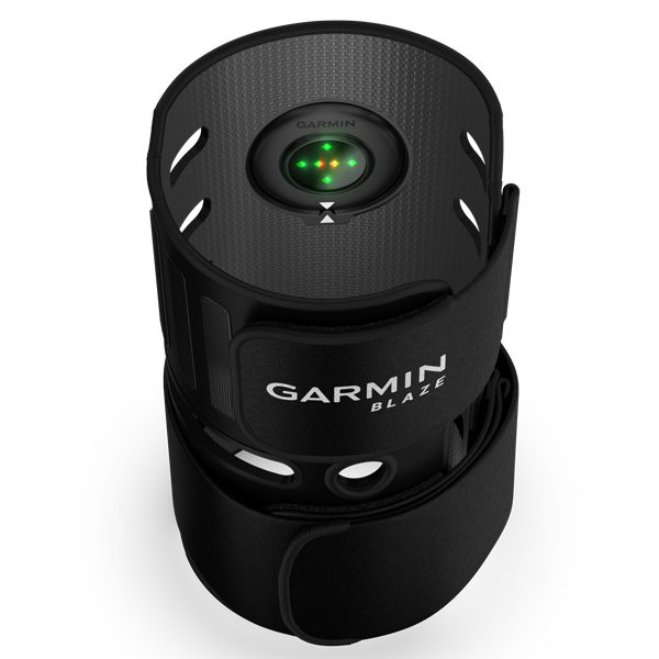 Garmin Blaze Equine Wellness System